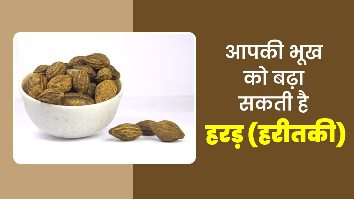 आपकी भूख को बढ़ा सकती है हरड़ (हरीतकी), जानिए फायदे और सेवन के तरीके