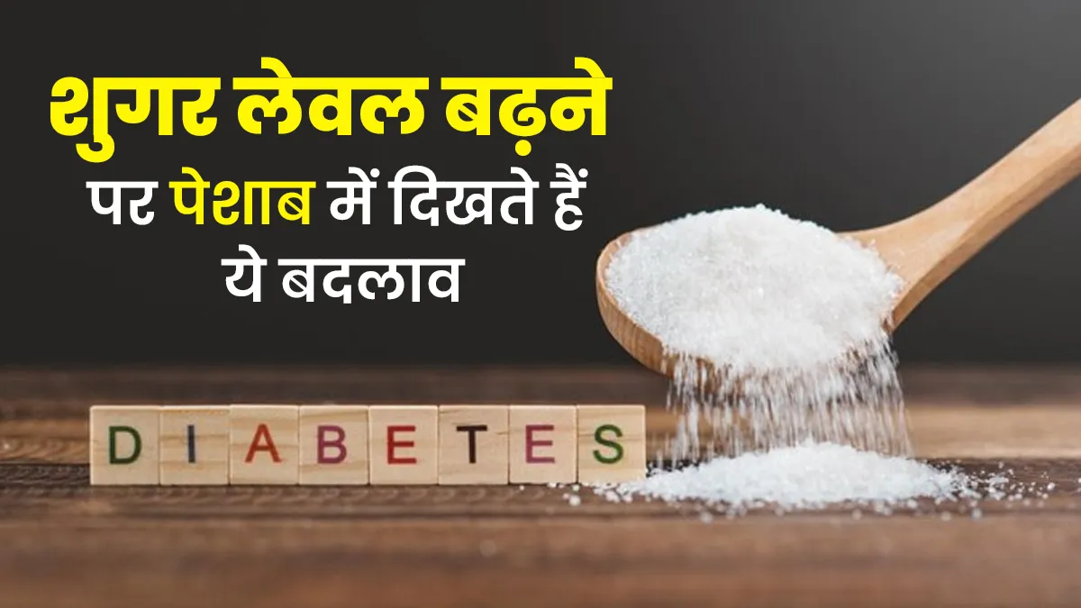 शरीर में शुगर लेवल बढ़ने पर पेशाब में क्या बदलाव नजर आते हैं? डॉक्टर से जानें