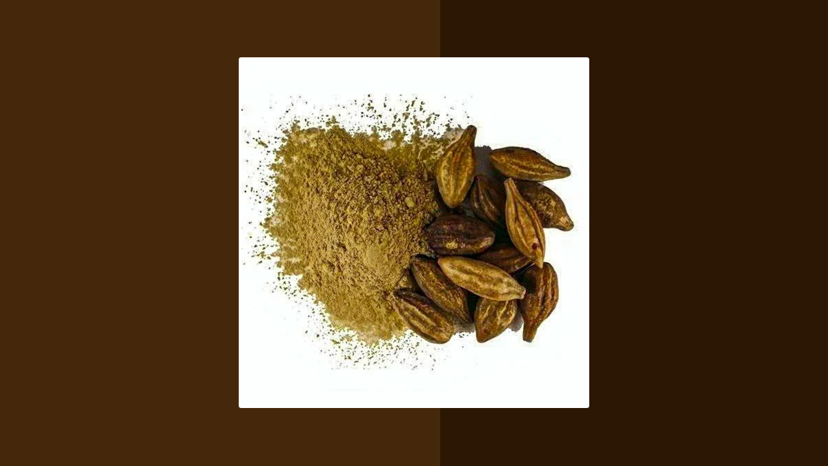 Haritaki Benefits to Improve Appetite