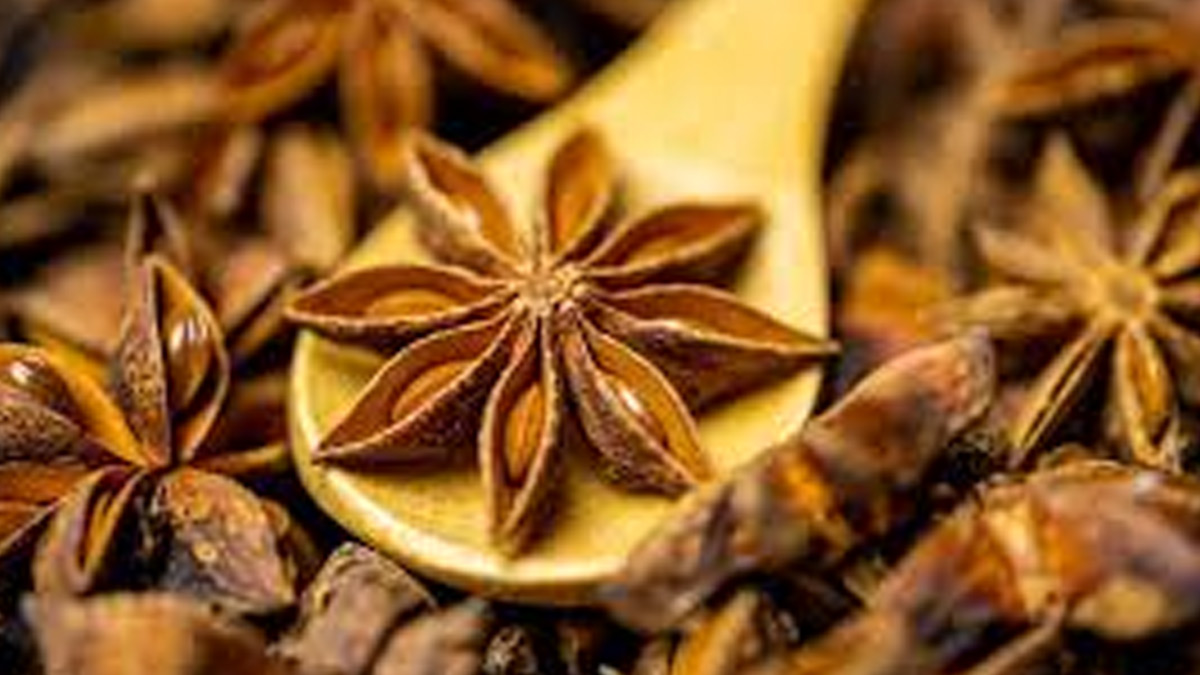 star-anise-health-side-effects-inside