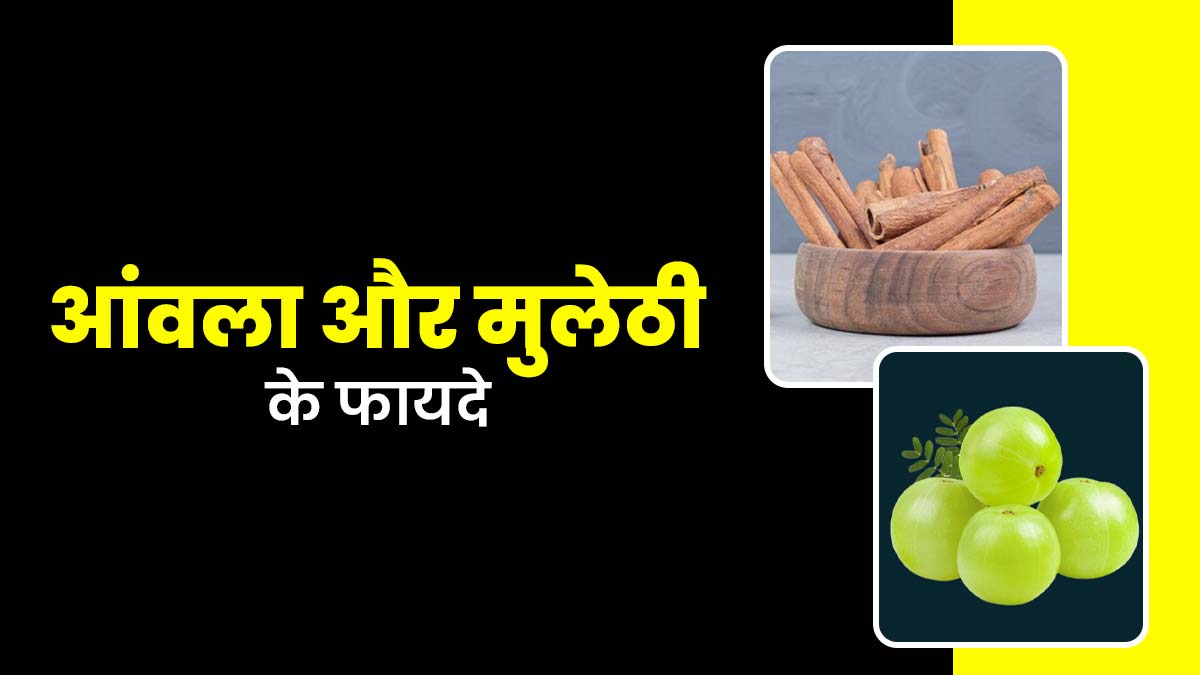 खूबसूरत त्वचा से लेकर गुड हार्मोनल हेल्थ तक, एक्सपर्ट से जानें आंवला और मुलेठी के फायदे
