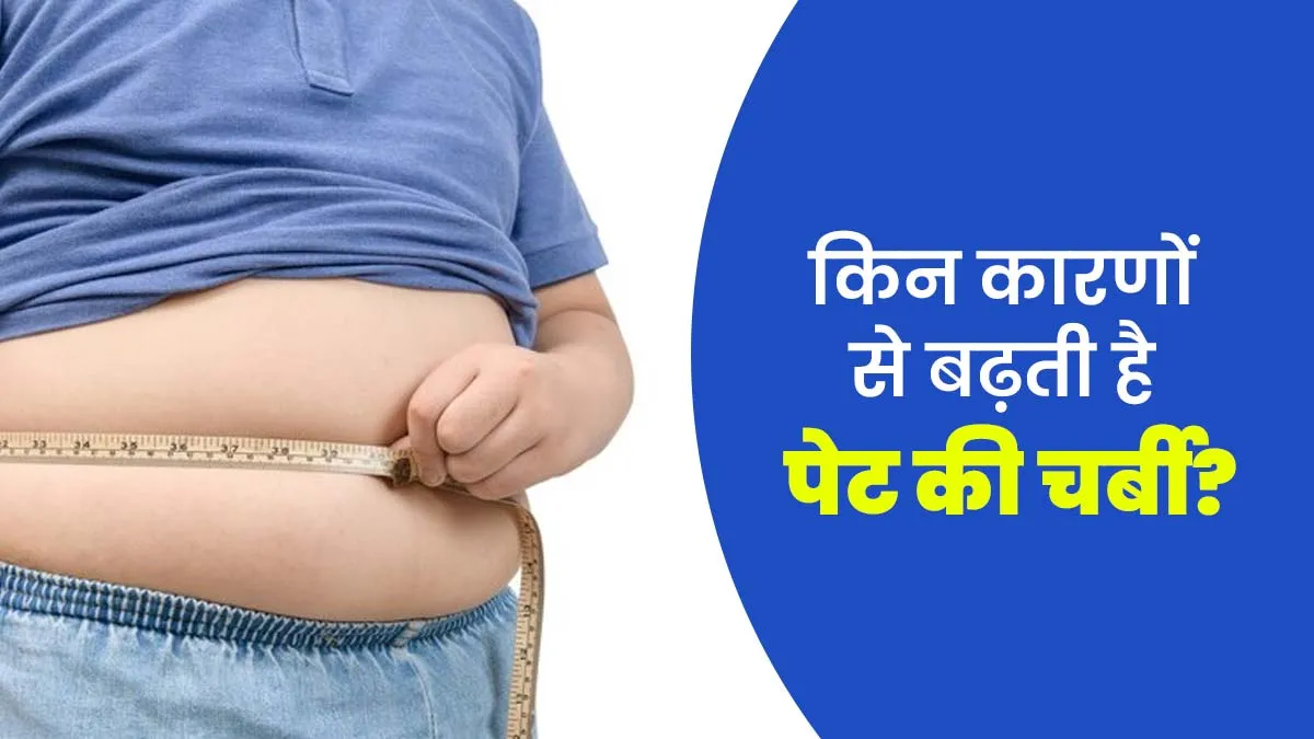 पेट की चर्बी लगातार बढ़ने के कारण हो सकते हैं? एक्सपर्ट से जानें 4 मुख्य फैक्टर