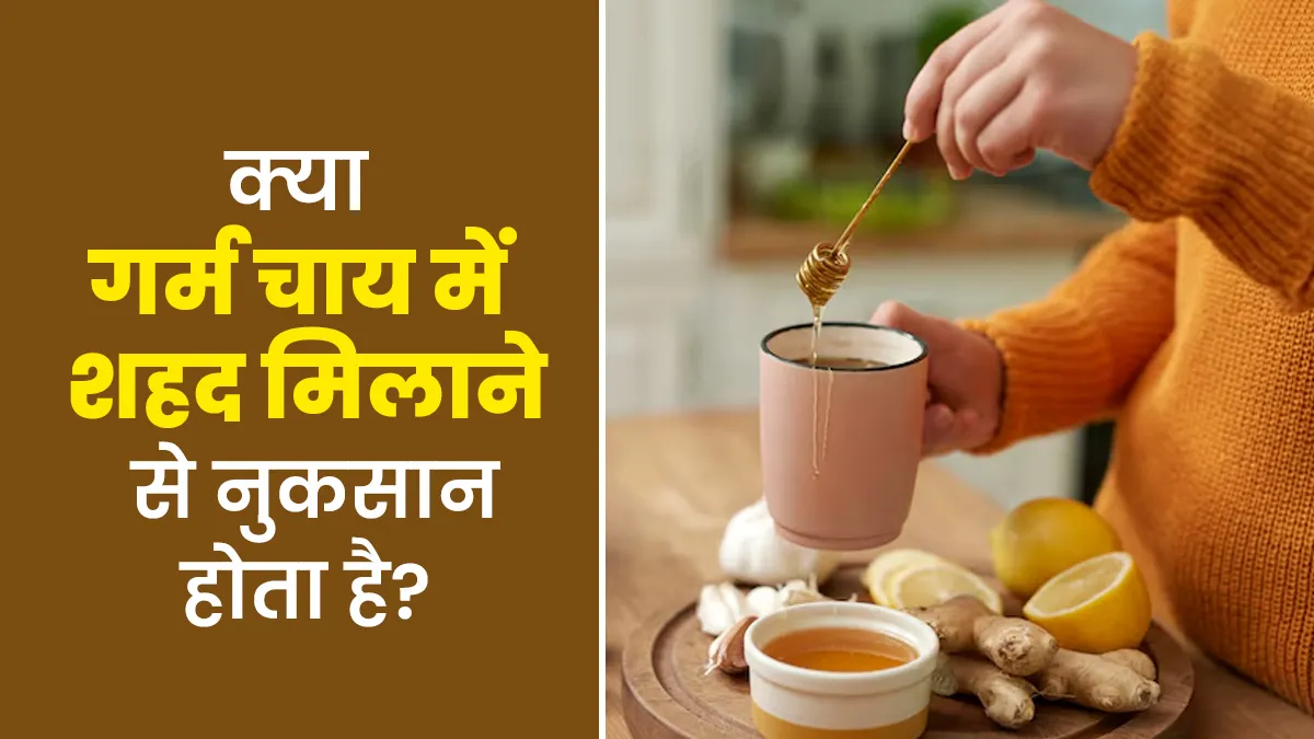 क्या गर्म चाय में शहद मिलाने से नुकसान हो सकता है? एक्सपर्ट से जानें