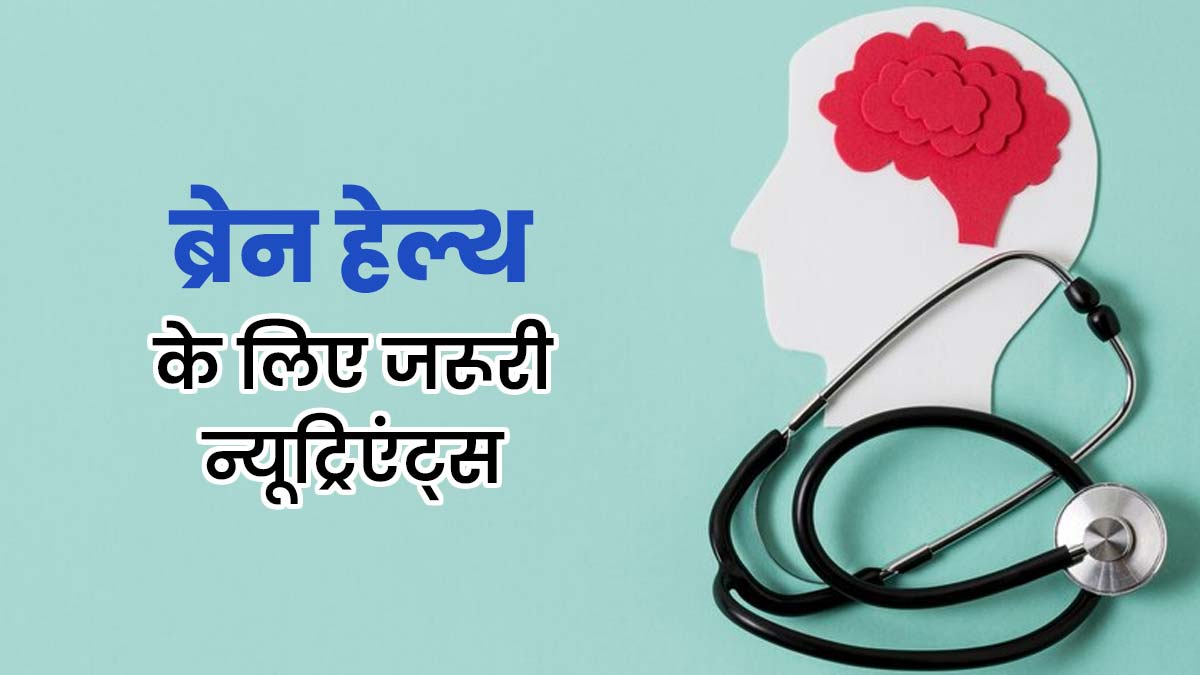 30 की उम्र के बाद ब्रेन हेल्थ के लिए जरूरी होते हैं ये 5 न्यूट्रिएंट्स, जानें इनके बारे में