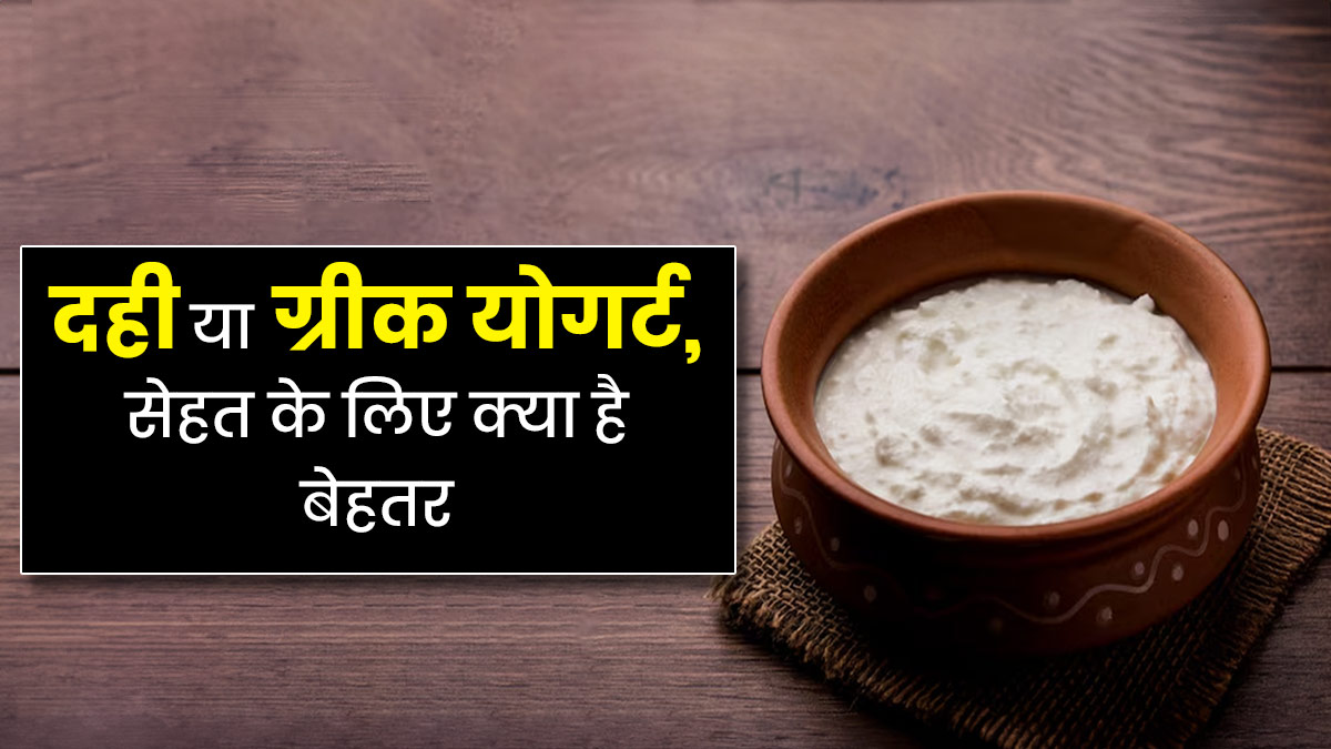 दही या ग्रीक योगर्ट, सेहत के लिए क्या है ज्यादा फायदेमंद? जानें एक्सपर्ट से