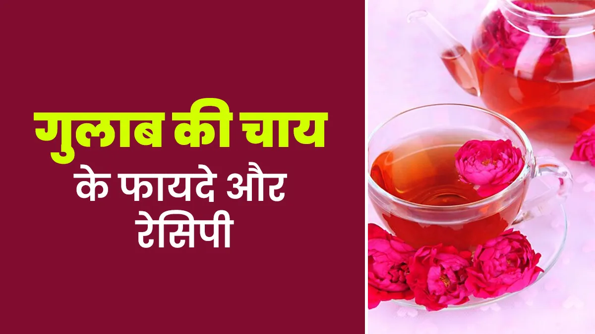 गुलाब की चाय से पाएं ग्लोइंग त्वचा और हेल्दी हार्ट, आयुर्वेदाचार्य से जानें फायदे और रेसिपी
