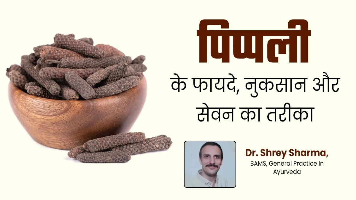 आयुर्वेदिक औषधि पिप्पली के फायदे, नुकसान, सेवन का तरीका और अन्य जानकारियां जानें आयुर्वेदाचार्य से