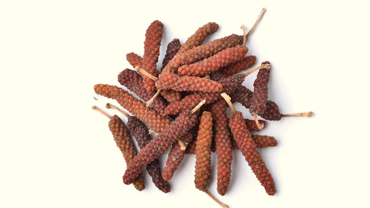 Long Pepper