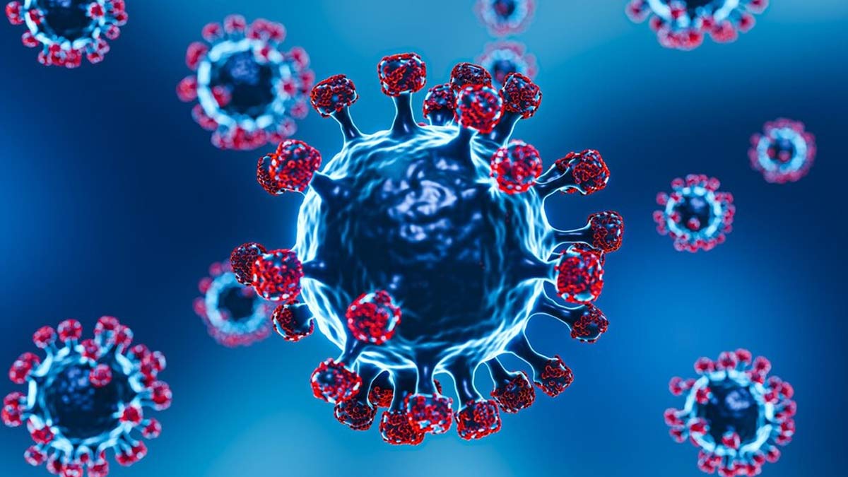 Human Coronavirus HKU1: नए वायरस की दस्तक! कोलकाता की महिला में मिला ह्यूमन कोरोनावायरस HKU1
