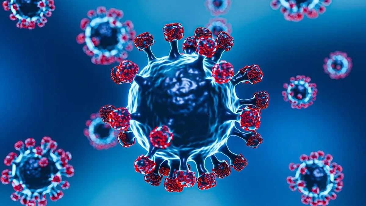 Human Coronavirus HKU1: नए वायरस की दस्तक! कोलकाता की महिला में मिला ह्यूमन कोरोनावायरस HKU1
