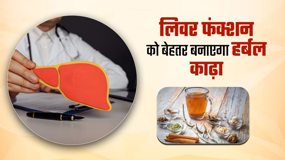 लिवर फंक्शन को बेहतर बनाने में मदद करेगा ये हर्बल काढ़ा, डाइटिशियन से जानें रेसिपी और फायदे