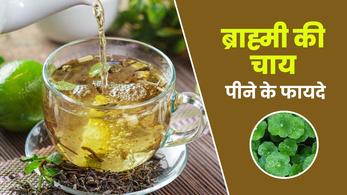 ब्राह्मी की चाय पीने से सेहत को मिलते हैं ये 6 फायदे, एक्सपर्ट से जानें