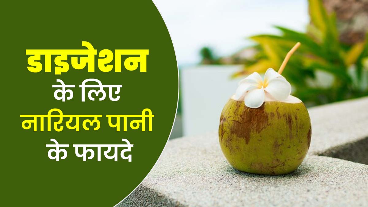 गर्मियों में नारियल पानी पीने से पाचन तंत्र को मिलते हैं ये 5 फायदे
