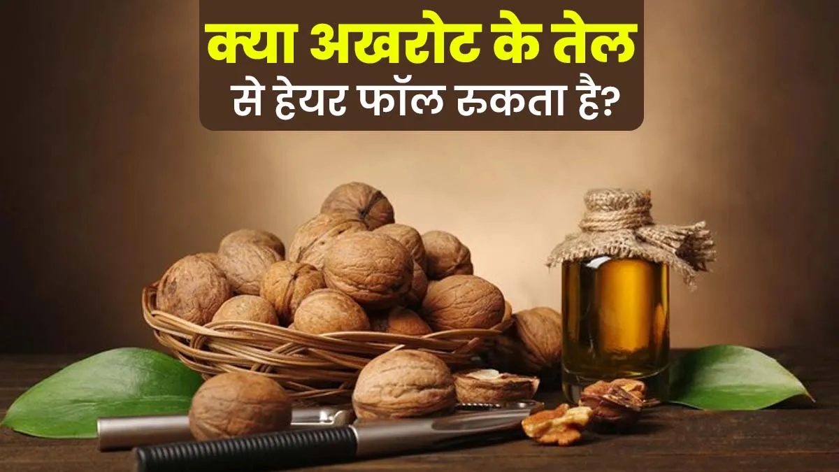 क्या अखरोट का तेल लगाने से हेयर फॉल रुक सकता है? डर्मेटोलॉजिस्ट से जानें
