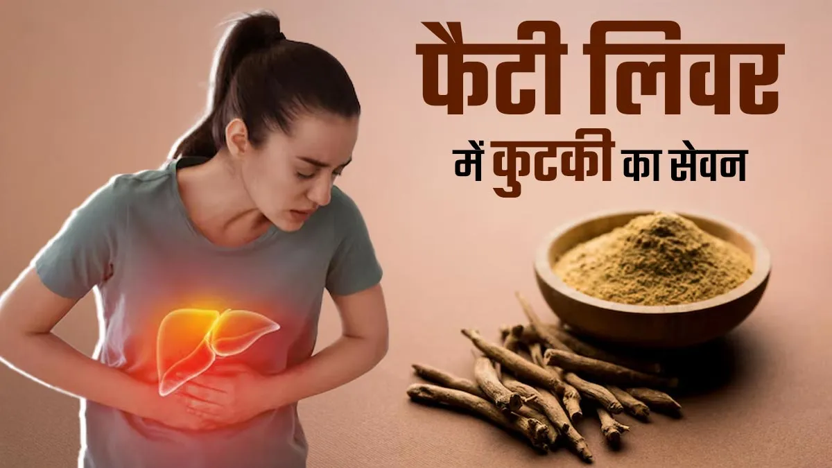 फैटी लिवर में कैसे करें कुटकी का सेवन? एक्सर्ट से जानें सही तरीका और फायदे