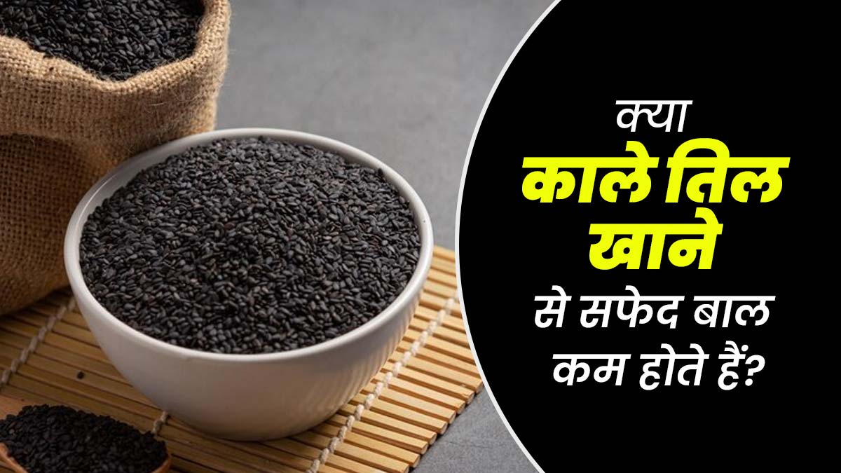 क्या काले तिल खाने से सफेद बालों की समस्या कम होती है? जानें एक्सपर्ट से