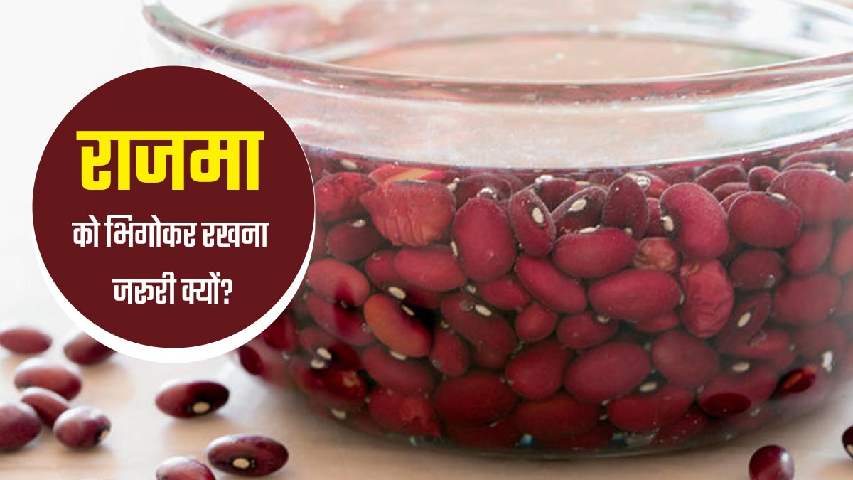 राजमा बनाने से पहले रातभर भिगोकर रखना क्यों है जरूरी? जानें एक्सपर्ट से