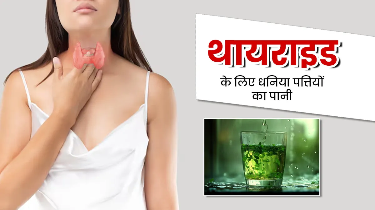 थायराइड के लिए फायदेमंद हो सकता है धनिया पत्तियों का पानी, एक्सपर्ट से जानें