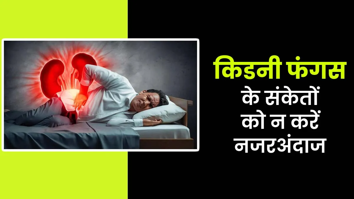 किडनी में फंगल इंफेक्शन के होते हैं ये 5 संकेत, डॉक्टर ने बताया नजरअंदाज करना कितना भारी पड़ सकता है