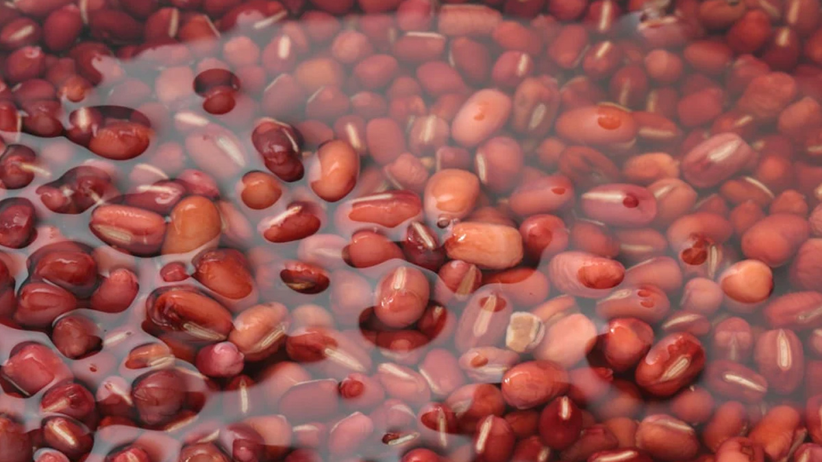 SOAKED RAJMA