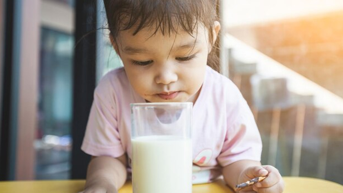 raw-milk-is-good-for-toddlers-or-not