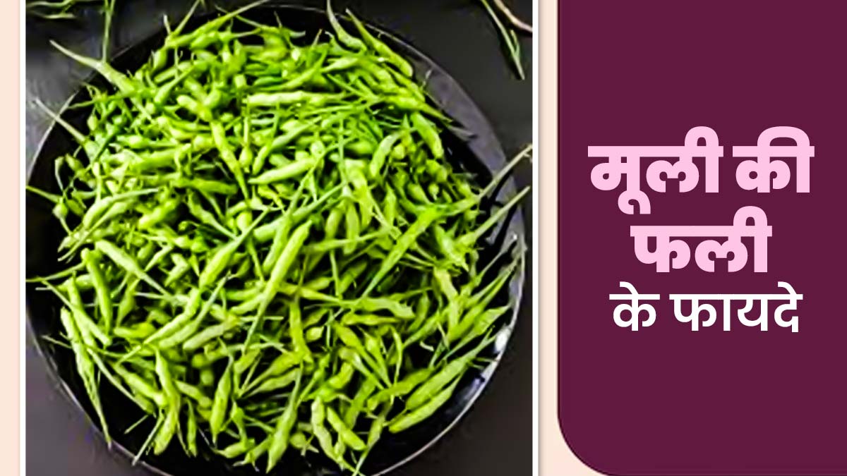 मूली की फली के हैं अनेक फायदे, आयुर्वेदाचार्य से जानें