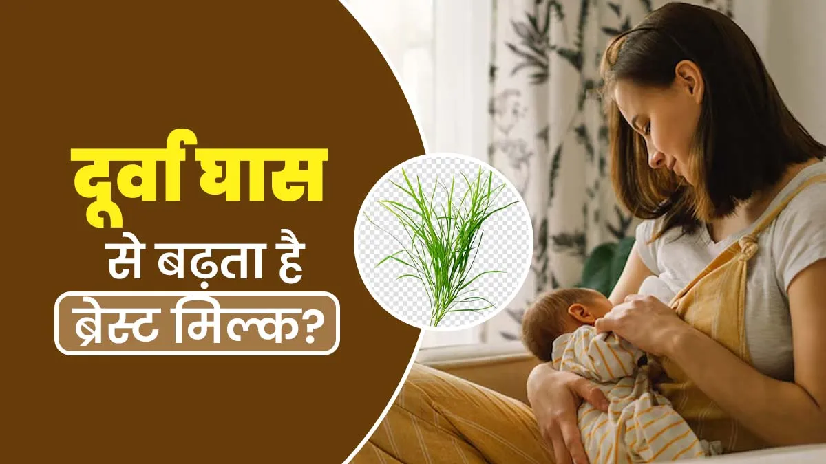 दूर्वा घास से बढ़ता है ब्रेस्ट मिल्क, डॉ. किरण गुप्ता से जानें इस्तेमाल का तरीका