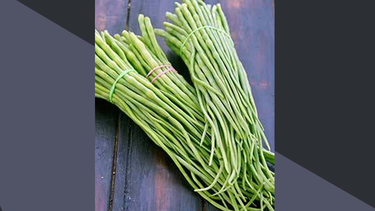 Radish Seed Pods Health Benefits