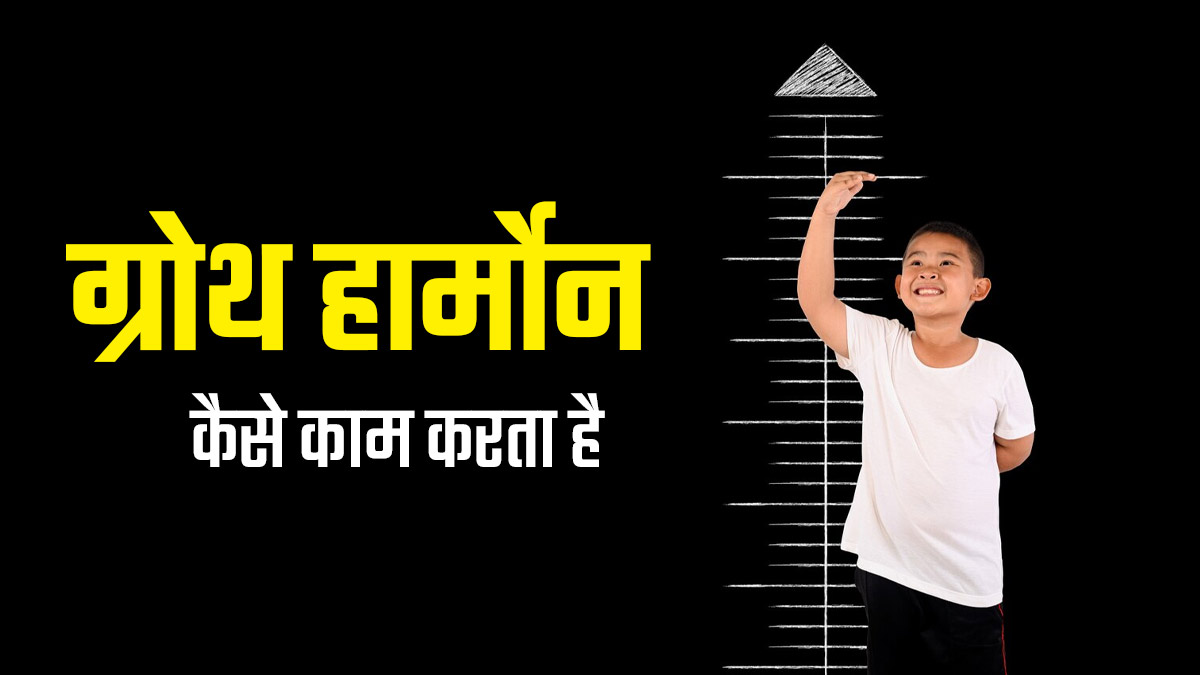 ग्रोथ हार्मोन कैसे काम करता है? डॉक्टर से जानें