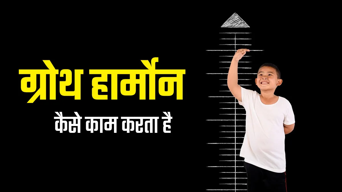ग्रोथ हार्मोन कैसे काम करता है? डॉक्टर से जानें