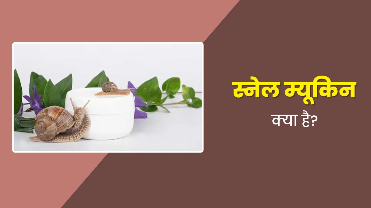 स्नेल म्यूकिन क्या है? एक्सपर्ट से जानें इसके फायदे, नुकसान और कब कैसे करें इस्तेमाल