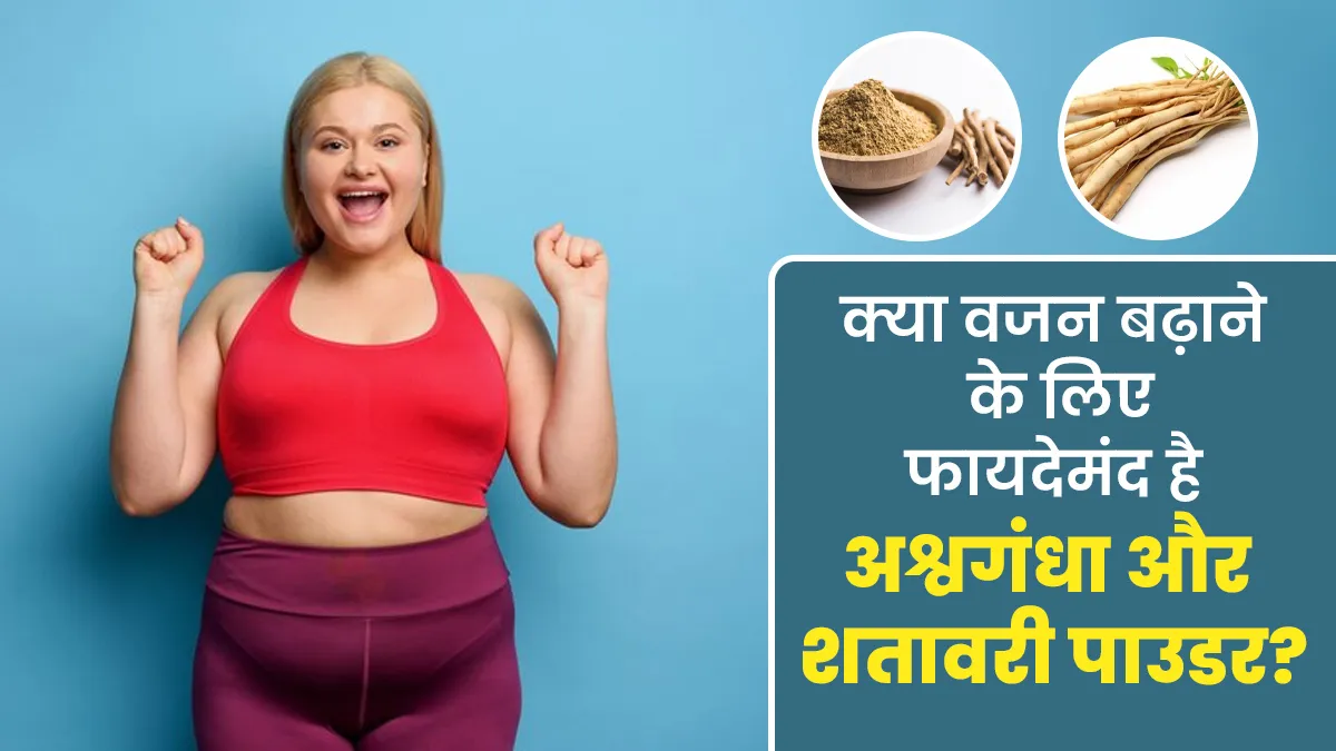 क्या वजन बढ़ाने के लिए अश्वगंधा और शतावरी पाउडर फायदेमंद है? आयुर्वेदिक एक्सपर्ट से जानें