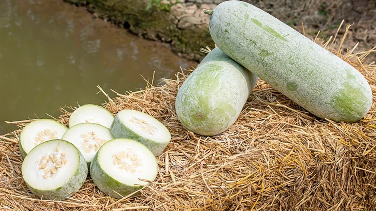 Ash Gourd Juice