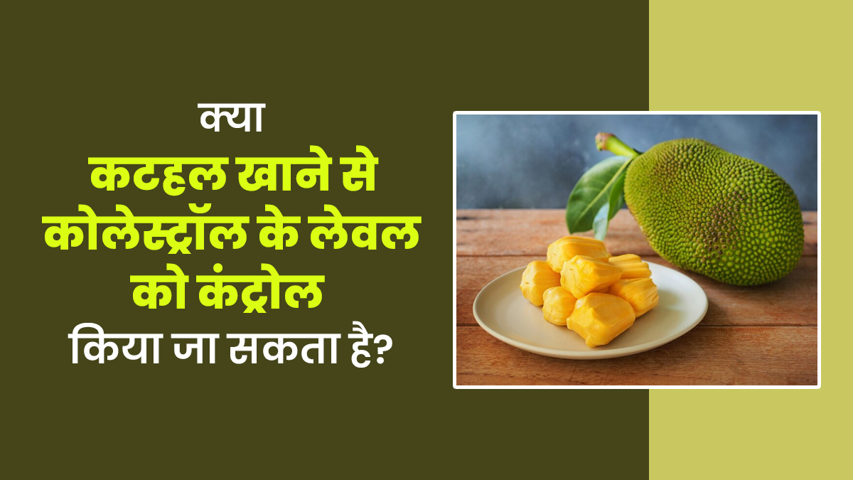 क्या कटहल खाने से कोलेस्ट्रॉल को कंट्रोल किया जा सकता है? एक्सपर्ट से जानें