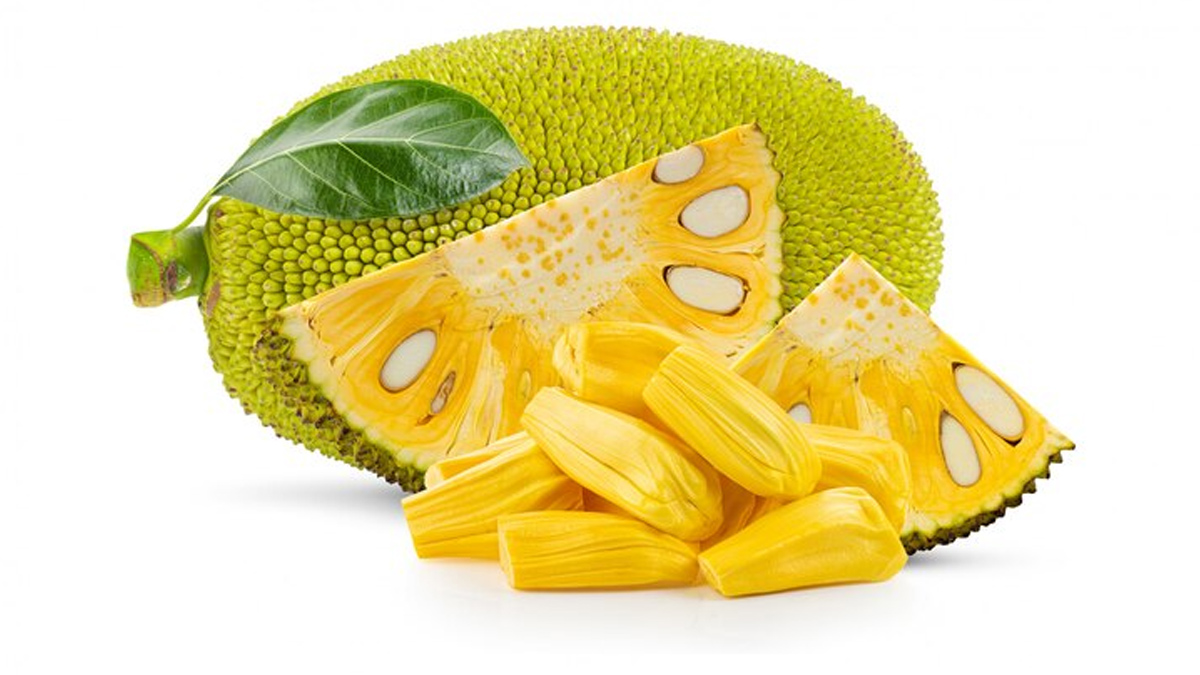 can-jackfruit-help-to-reduce-high-cholesterol-level-in