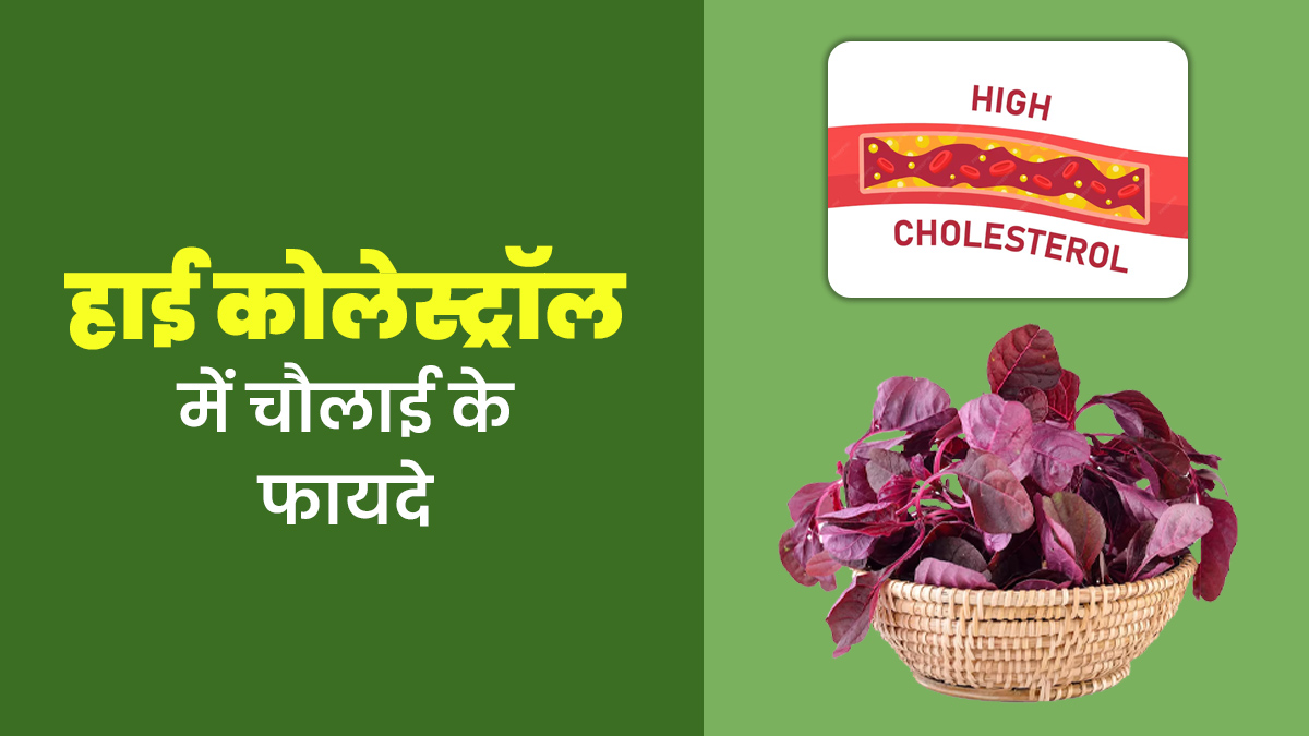 हाई कोलेस्ट्रॉल में फायदेमंद है चौलाई, एक्सपर्ट से जानें कैसे करें सेवन