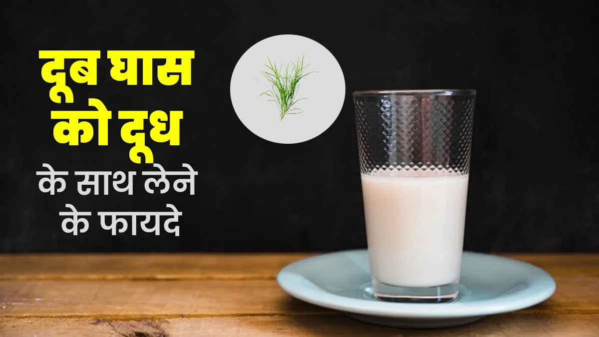 दूब घास को दूध के साथ लेने से सेहत को मिलते हैं कई फायदे, आयुर्वेदिक डॉक्टर से जानें तरीका