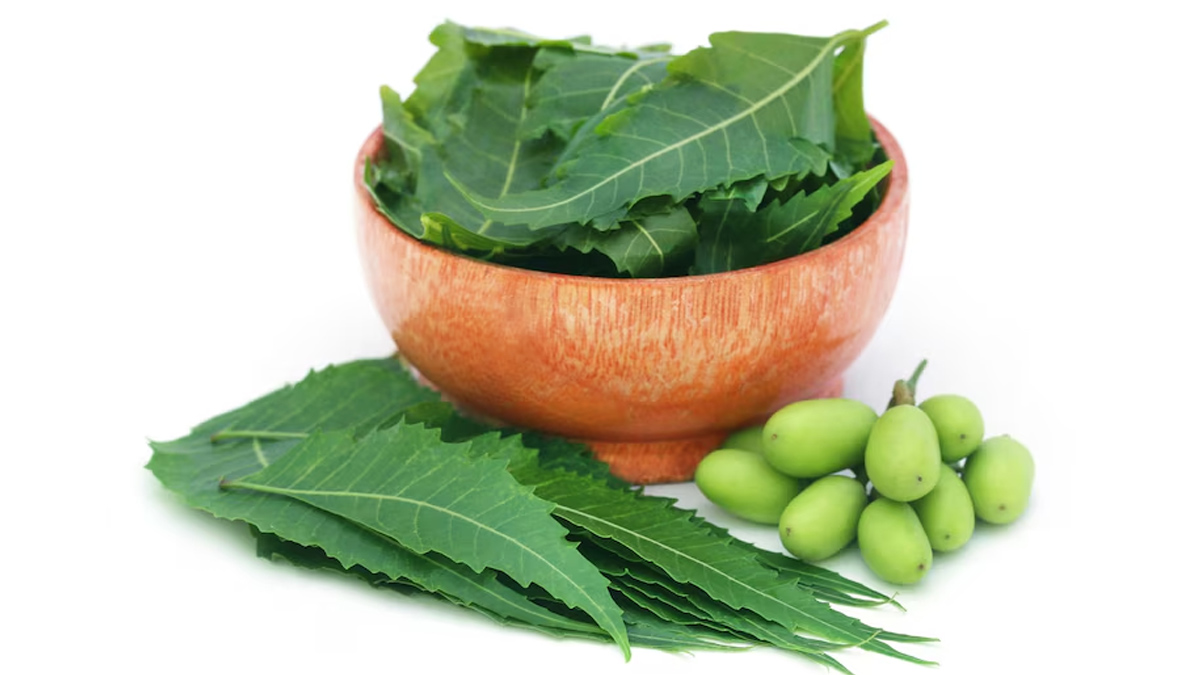 Neem benefits for skin