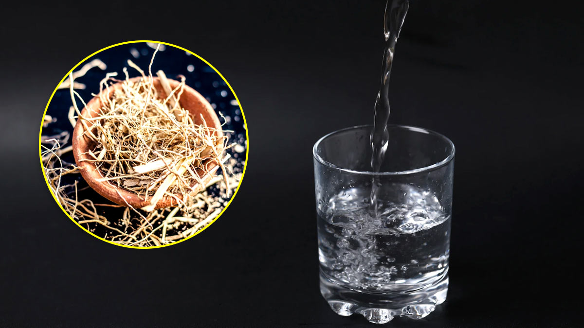 नवरात्रि व्रत में हाइड्रेटेड रहने के लिए क्या पिएं - Drink to stay Hydrated During Chaitra Navratri 2025 Fast khus_water_benefits_main