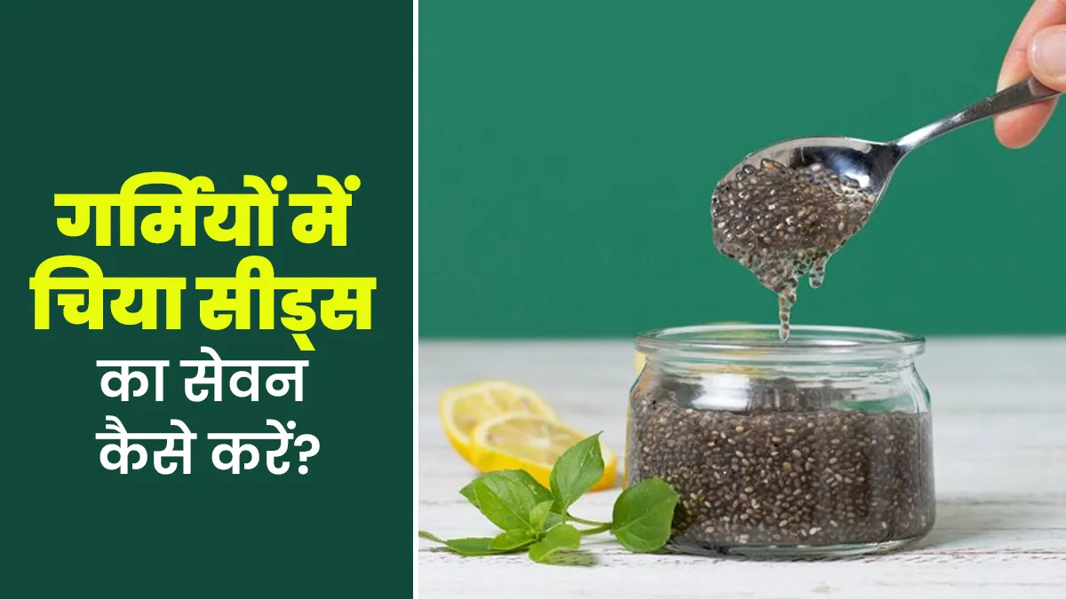 गर्मियों में स्किन को हाइड्रेट रखने के लिए चिया सीड्स का सेवन कैसे करें? एक्सपर्ट से जानें