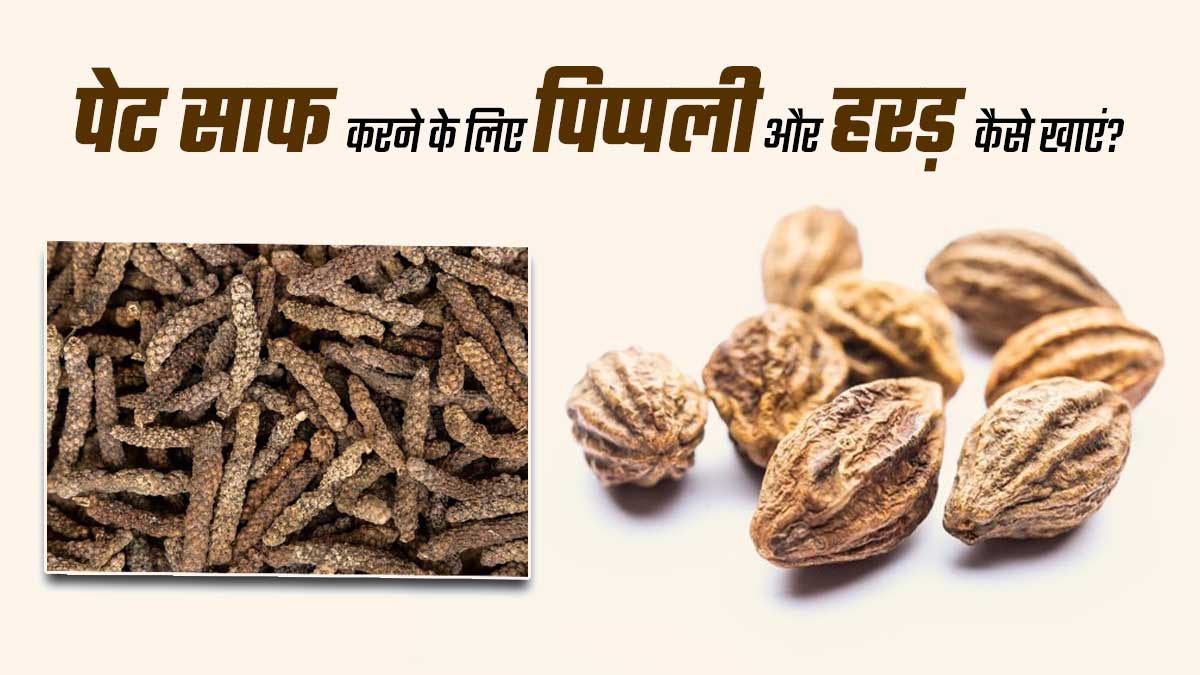 सुबह एकबार में पेट साफ नहीं होता तो खाएं पिप्पली और हरड़, जानें खाने का तरीका