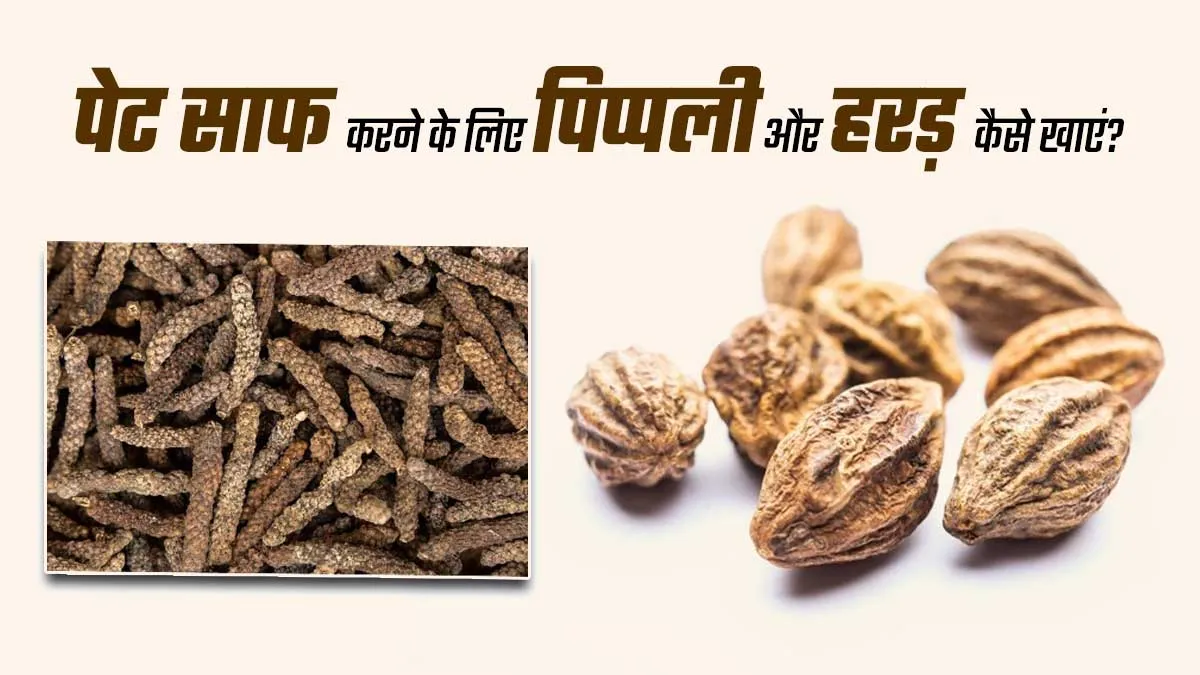 सुबह एकबार में पेट साफ नहीं होता तो खाएं पिप्पली और हरड़, जानें खाने का तरीका