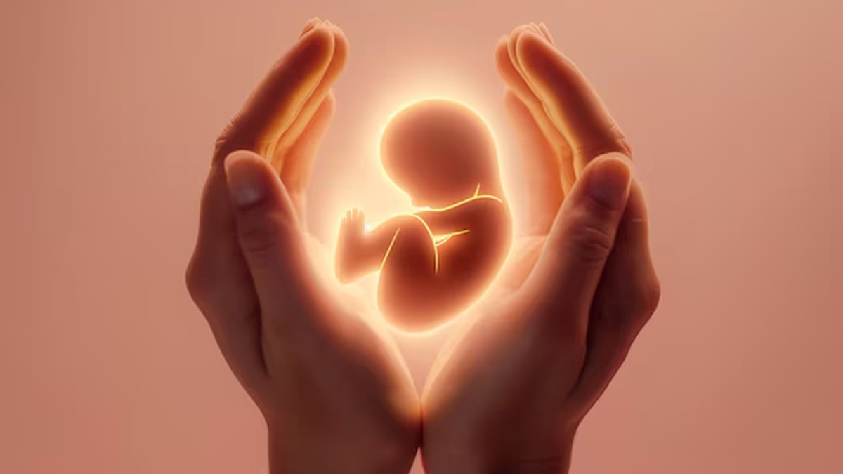 What babies enjoy in womb