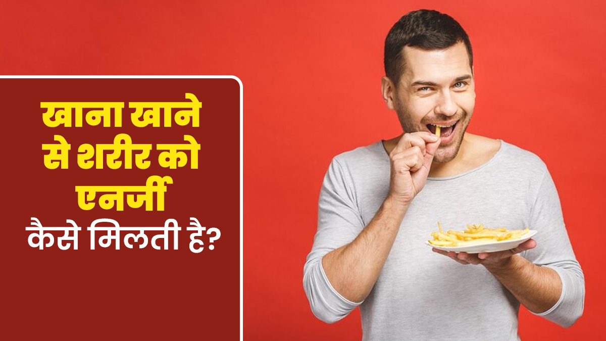 खाना खाने से शरीर को एनर्जी कैसे मिलती है? एक्सपर्ट से समझें