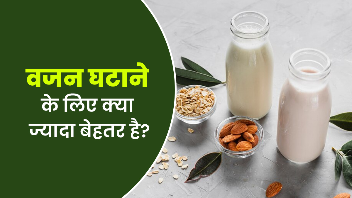 ओट्स मिल्क और बादाम के दूध में वजन घटाने के लिए क्या है ज्यादा फायदेमंद? जानें एक्सपर्ट से