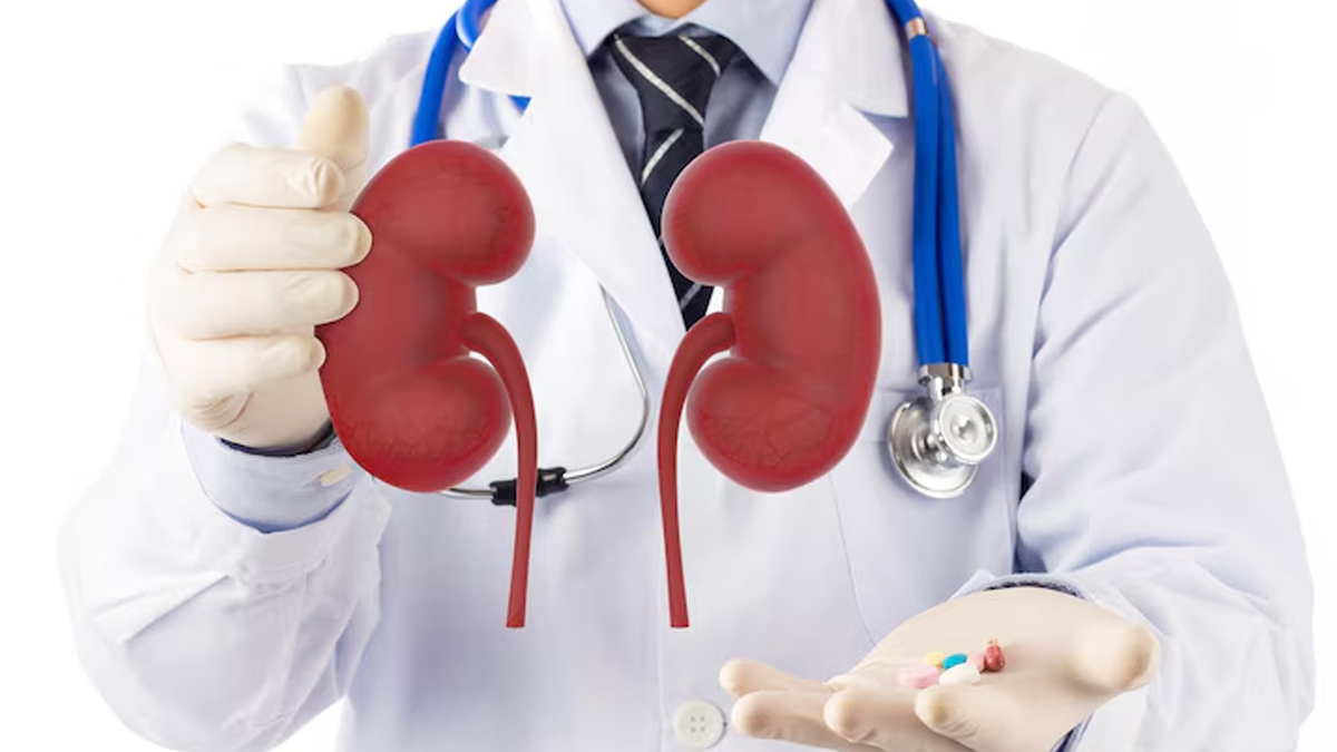 is it possible to live with one kidney 01 (3)