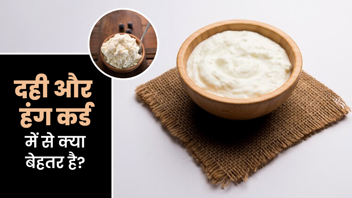 दही और हंग कर्ड में से कौन बेहतर है? एक्सपर्ट से जानें