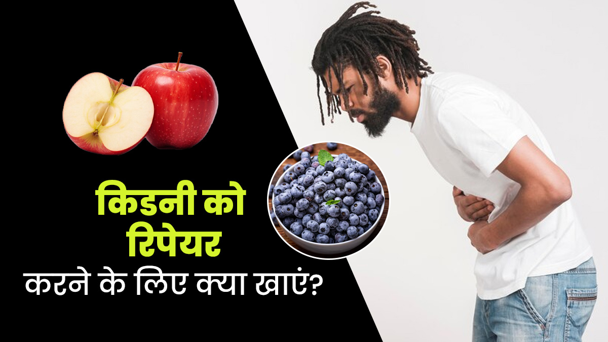 किडनी को रिपेयर करने में मदद करते हैं ये ये 5 फूड्स, जानें एक्सपर्ट से