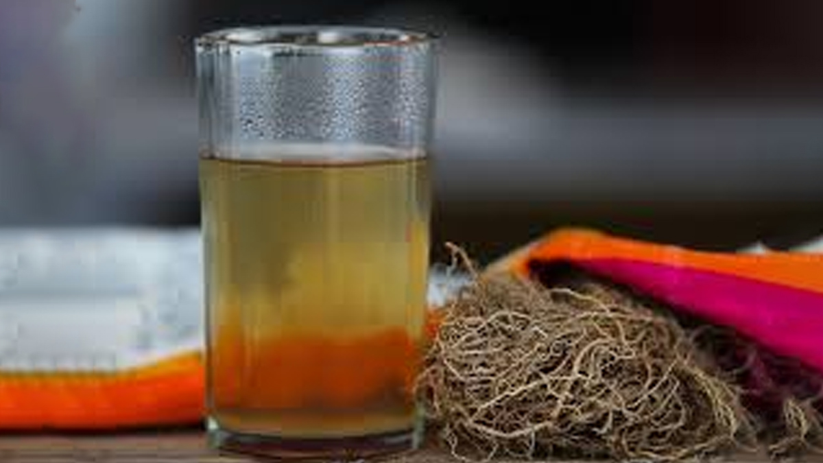 क्या प्रेग्नेंसी में खस का पानी पीना सुरक्षित है | Is khus khus Water safe during pregnancy expert answer in Hindi Is-khus-khus-water-safe-during-pregnancy-inside