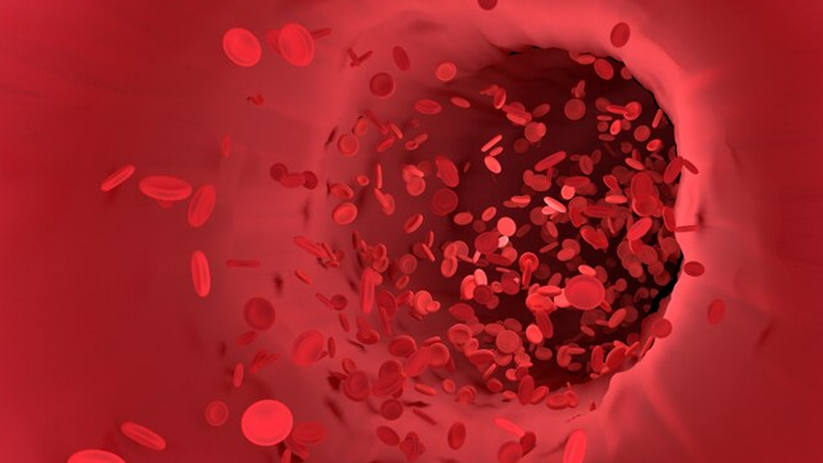 why is it necessary to test for thalassemia before marriage in hindi 1